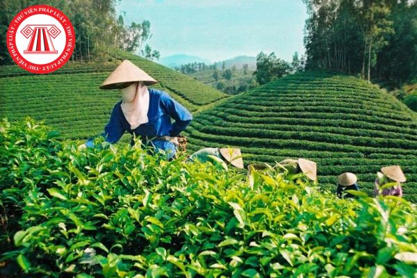 Từ 